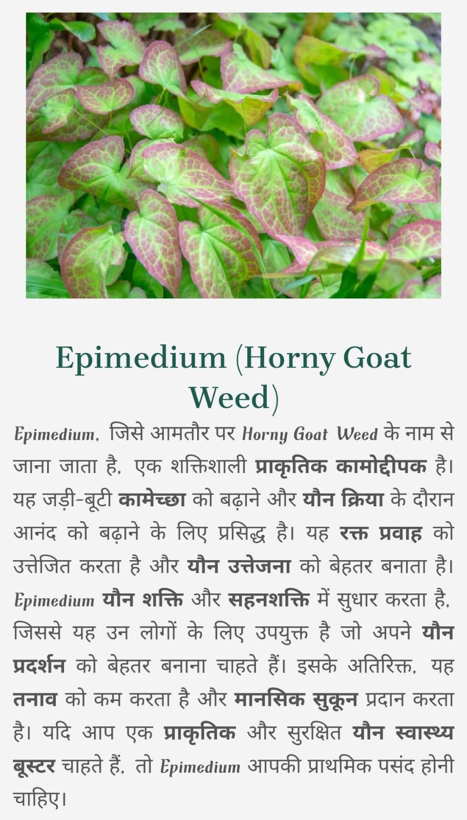 WhatsApp Image 2025-01-24 at 12.55.59 PM